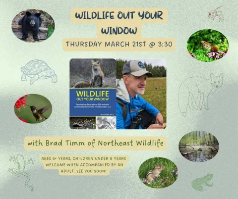 Wildlife Outside Your Window flyer