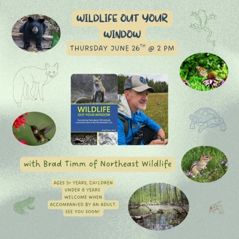 Wildlife Outside Your Window flyer